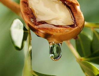 Argan oil source ingredient photography