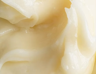 Shea butter source ingredient photography